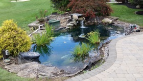 The existing landscape
