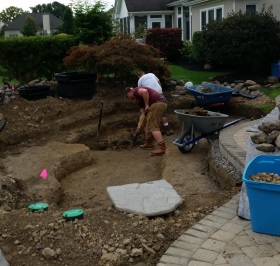 The pond comes to life