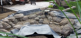 The pond comes to life