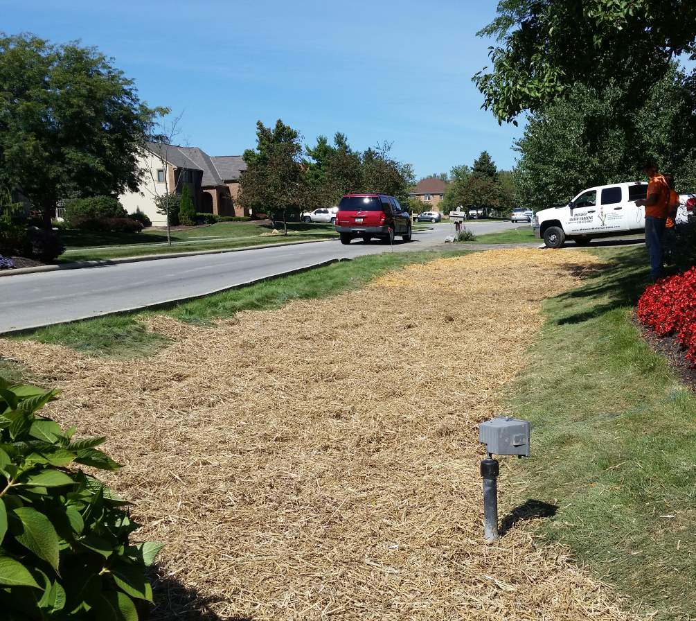 After the grass grows there will be no sign a ditch ever existed