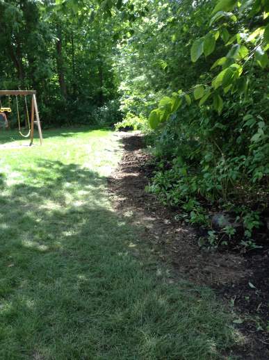 Landscape appears undisturbed