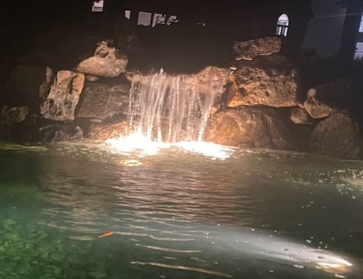 illuminated pond and waterfall