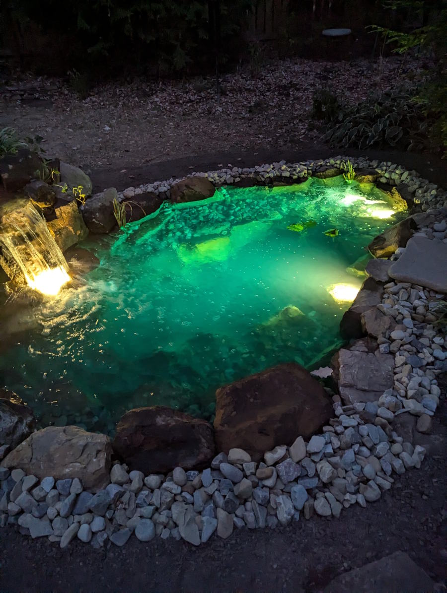 lighted koi pond