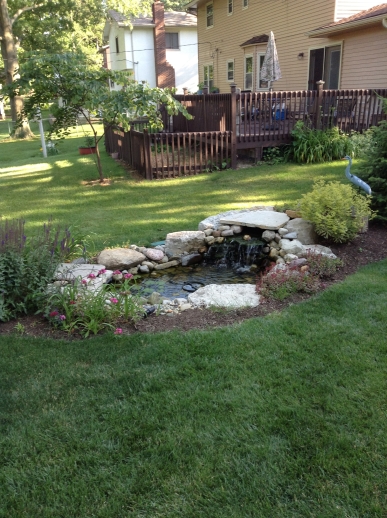 The existing landscape