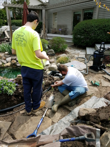 The hardscape is being carefully placed to make the pond look like new again