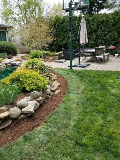 The yard appears undisturbed after the repair has been completed